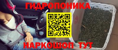 PSILOCYBIN Краснокаменск