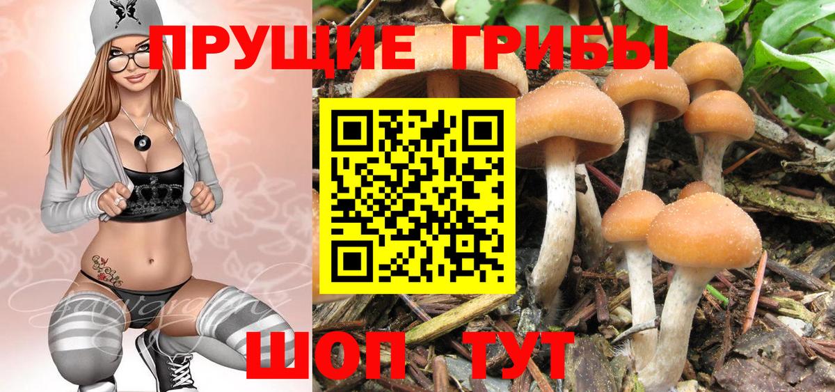 Псилоцибиновые грибы ЛСД Красногорск